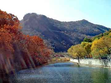 澳彩资料免费长期公开，大鹏背景